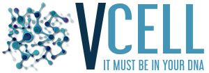 vcell – חברה למחקר וייעוץ אסטרטגי