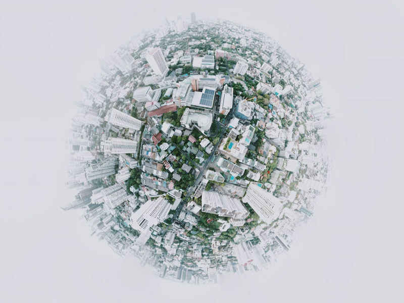 פעילות בינלאומית VCELL